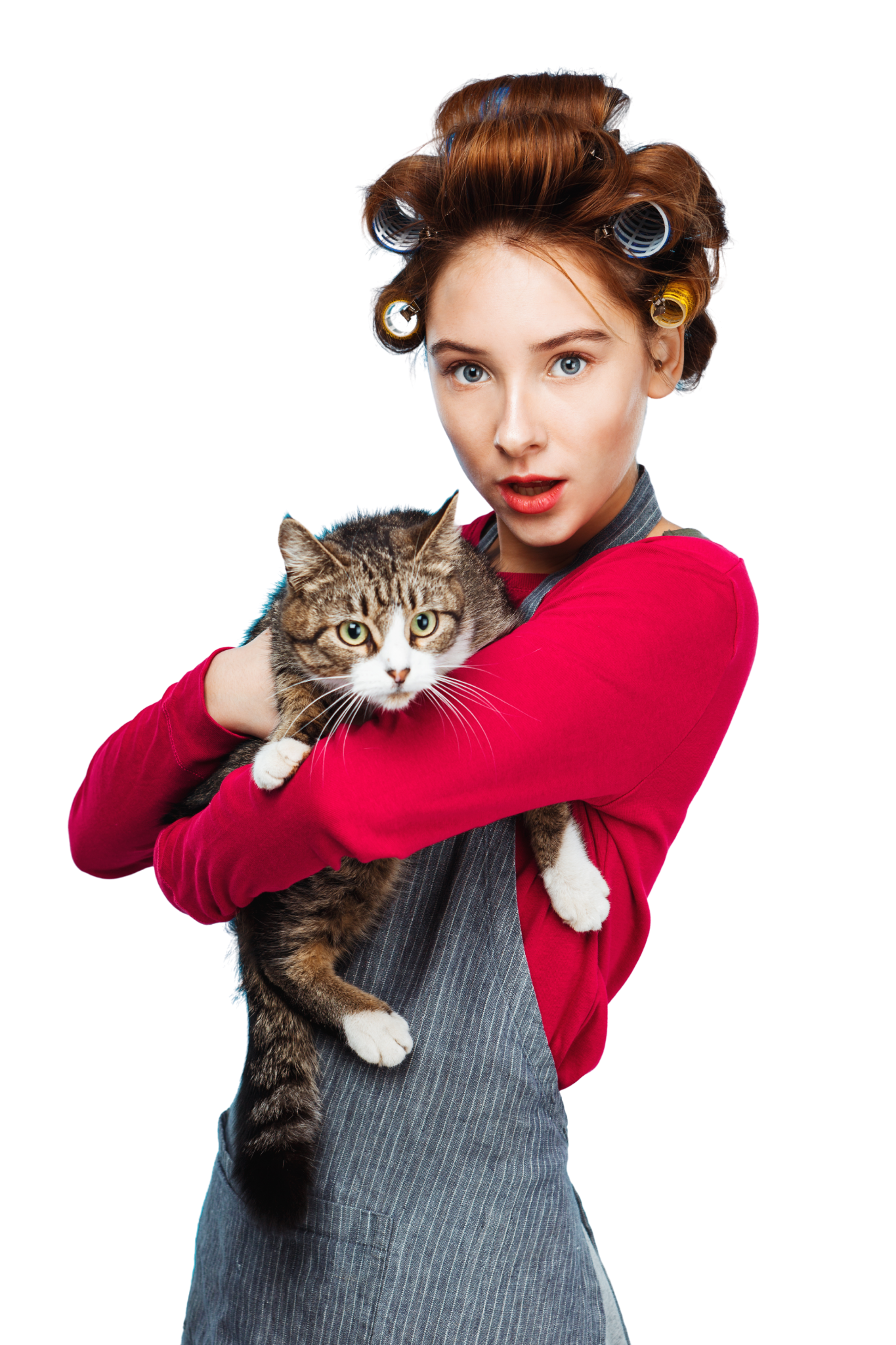 The Beginning Of Every Cat's Journey With Love.